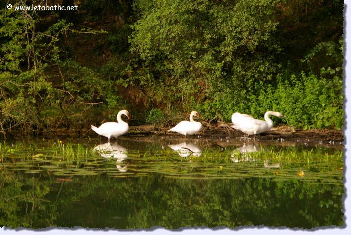 rencontre sur talmay
